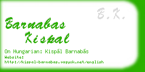 barnabas kispal business card